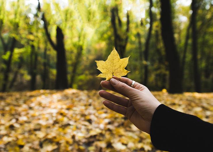 Что такое гештальт и&nbsp;как его закрыть: мнение эксперта