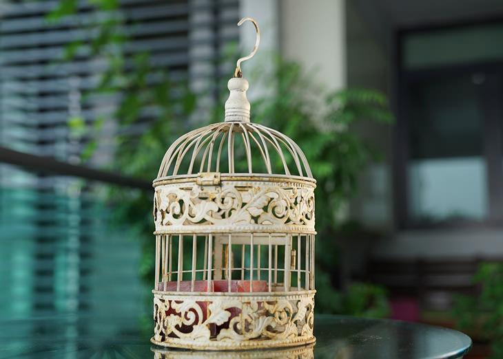 Ловушки мышления