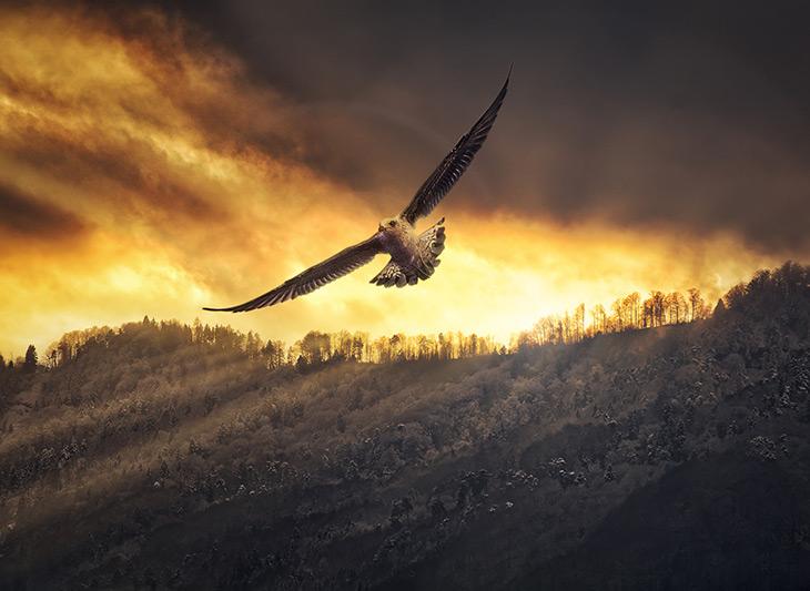 Реакция на смерть, насилие, угрозу жизни